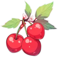 branch-with-three-cherries-sticker