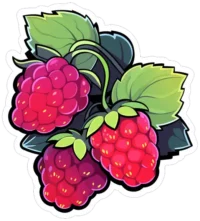 three-raspberries-with-leaves-sticker